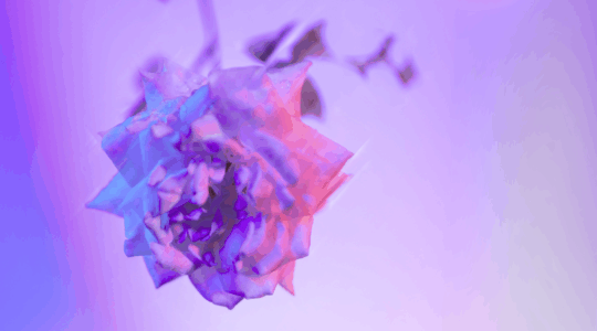 Immagine usata per promuovere il premio tesi di laurea 2025